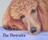 pet